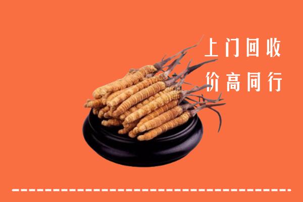 临汾洪洞县回收散虫草