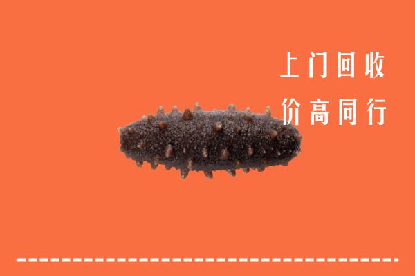 临汾洪洞县回收海参