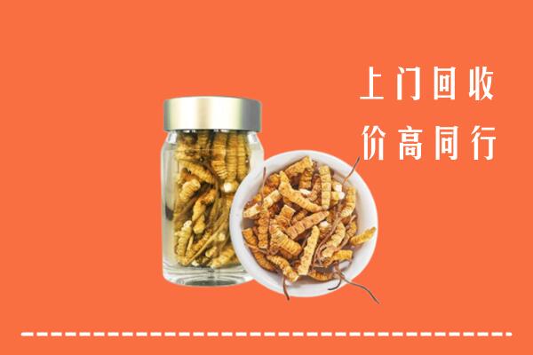 临汾洪洞县回收冬虫夏草